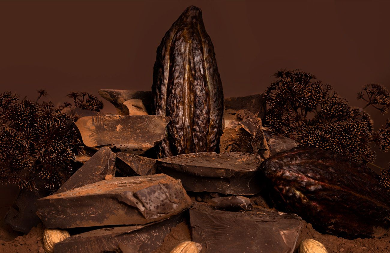 Luxury still life shoot of cocoa pod